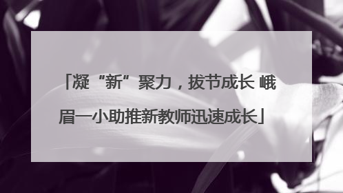 凝“新”聚力，拔节成长 峨眉一小助推新教师迅速成长